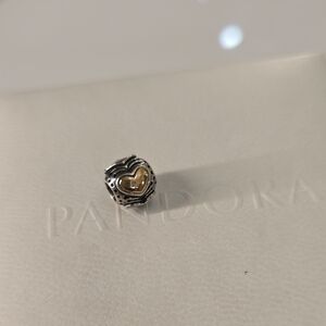 Authentic Pandora Charm
